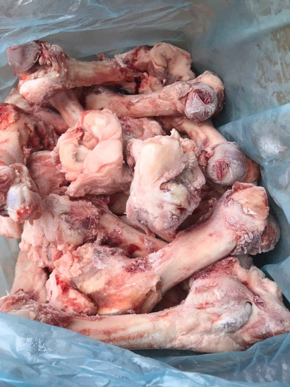 Giá Xương Ống Heo Hôm Nay – Liên Hệ Ngay